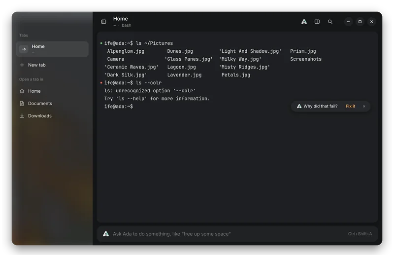 Ada’s Terminal after a mistyped command, with a chip offering: Why did that fail? Fix it.